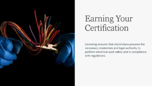 Licensed Electricians professional checking electrical panel license verification