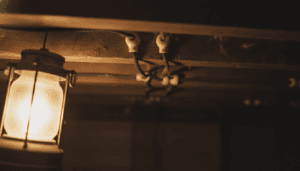 Knob and tube wiring with porcelain knobs along basement joists in an Ontario century home